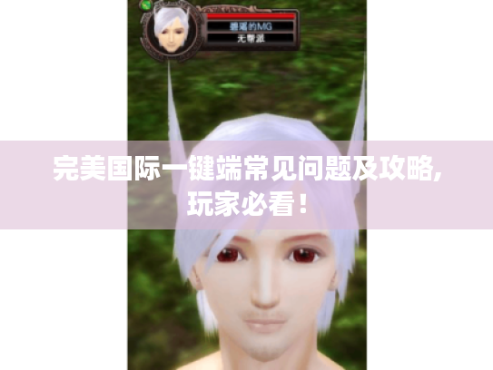 完美国际一键端常见问题及攻略,玩家必看！
