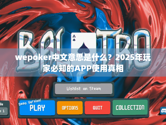 wepoker中文意思是什么？2025年玩家必知的APP使用真相