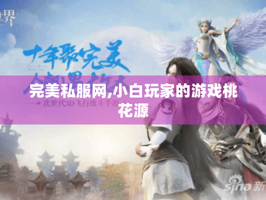 完美私服网,小白玩家的游戏桃花源
