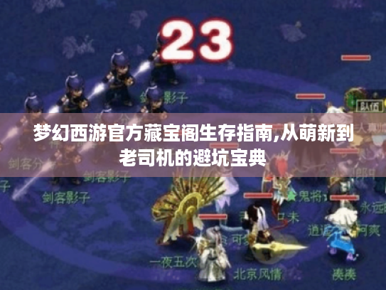 梦幻西游官方藏宝阁生存指南,从萌新到老司机的避坑宝典