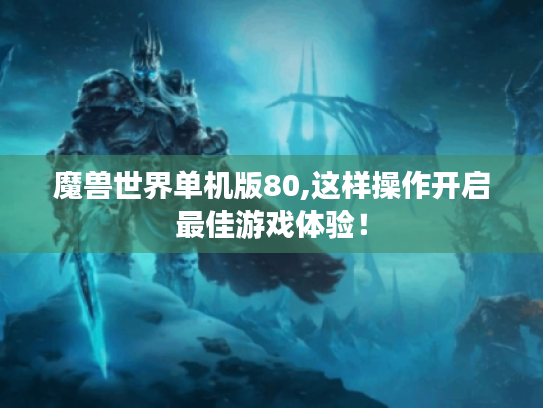 魔兽世界单机版80,这样操作开启最佳游戏体验！