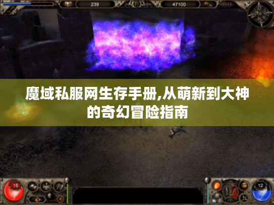 魔域私服网生存手册,从萌新到大神的奇幻冒险指南