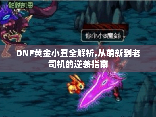 DNF黄金小丑全解析,从萌新到老司机的逆袭指南