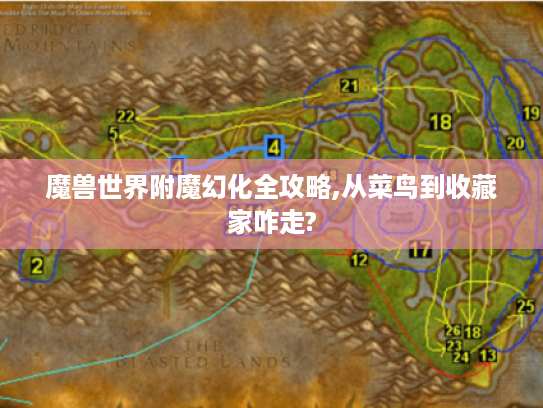 魔兽世界附魔幻化全攻略,从菜鸟到收藏家咋走?