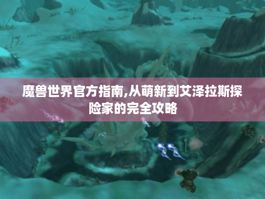 魔兽世界官方指南,从萌新到艾泽拉斯探险家的完全攻略