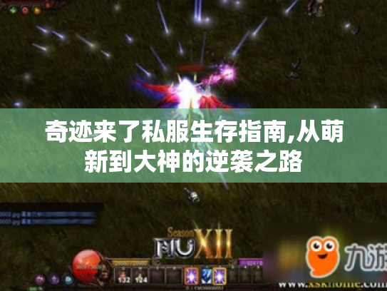 奇迹来了私服生存指南,从萌新到大神的逆袭之路