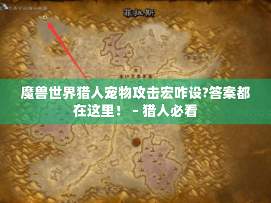 魔兽世界猎人宠物攻击宏咋设?答案都在这里！ - 猎人必看