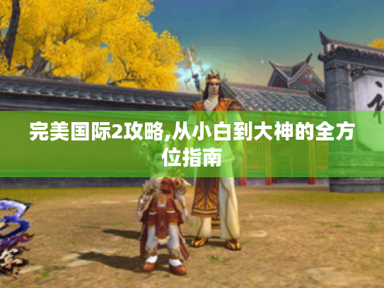 完美国际2攻略,从小白到大神的全方位指南