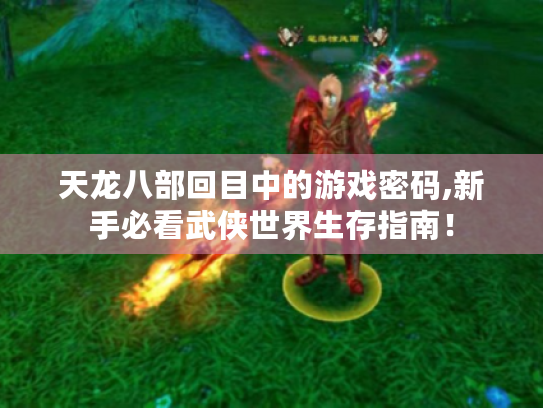 天龙八部回目中的游戏密码,新手必看武侠世界生存指南! 天龙八部回目中的游戏密码,新手必看武侠世界生存指南!