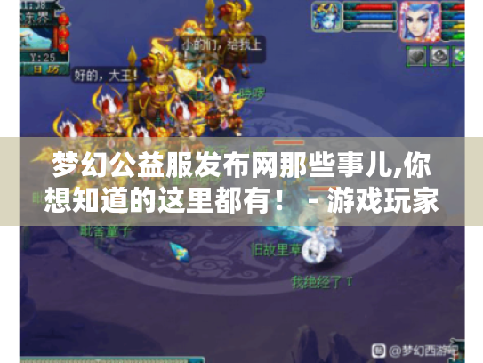梦幻公益服发布网那些事儿,你想知道的这里都有！ - 游戏玩家必看
