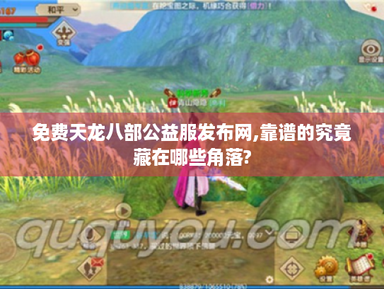 免费天龙八部公益服发布网,靠谱的究竟藏在哪些角落?
