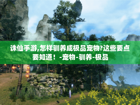 诛仙手游,怎样驯养成极品宠物?这些要点要知道！-宠物-驯养-极品