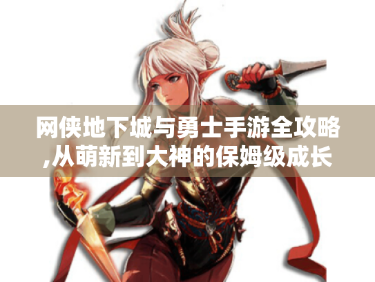 网侠地下城与勇士手游全攻略,从萌新到大神的保姆级成长手册