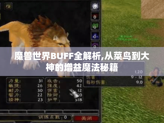 魔兽世界BUFF全解析,从菜鸟到大神的增益魔法秘籍