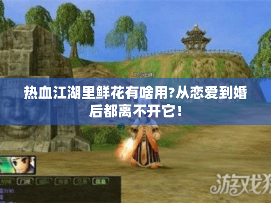 热血江湖里鲜花有啥用?从恋爱到婚后都离不开它！