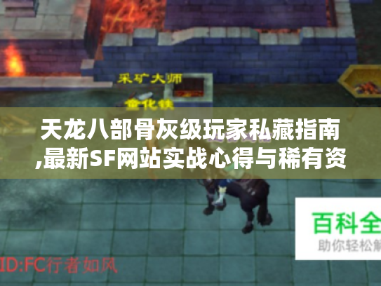天龙八部骨灰级玩家私藏指南,最新SF网站实战心得与稀有资源获取秘笈