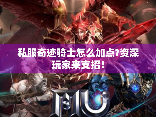 私服奇迹骑士怎么加点?资深玩家来支招！