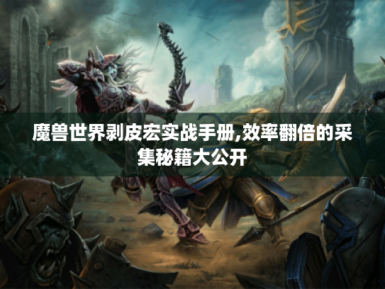 魔兽世界剥皮宏实战手册,效率翻倍的采集秘籍大公开