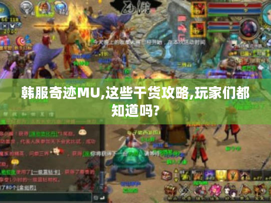 韩服奇迹MU,这些干货攻略,玩家们都知道吗?