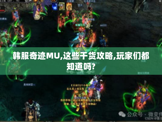 韩服奇迹MU,这些干货攻略,玩家们都知道吗?
