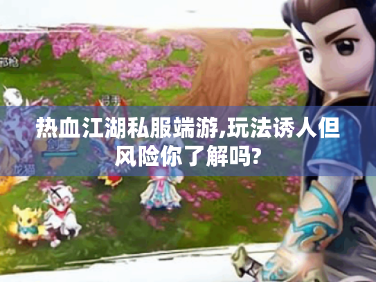 热血江湖私服端游,玩法诱人但风险你了解吗?