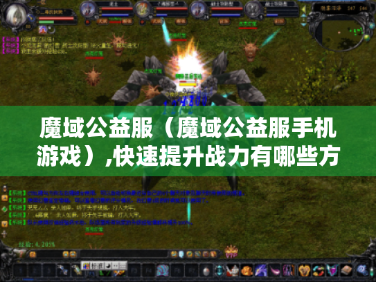 魔域公益服（魔域公益服手机游戏）,快速提升战力有哪些方法?