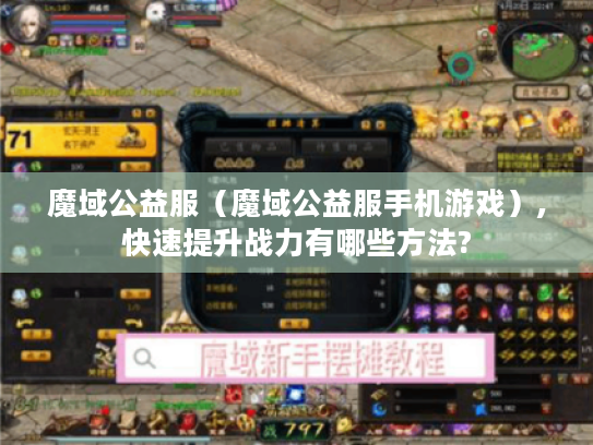 魔域公益服（魔域公益服手机游戏）,快速提升战力有哪些方法?