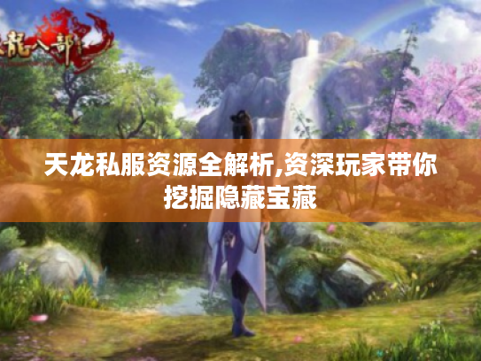 天龙私服资源全解析,资深玩家带你挖掘隐藏宝藏