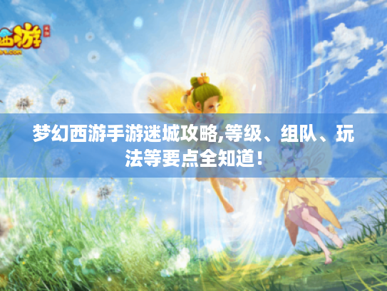 梦幻西游手游迷城攻略,等级、组队、玩法等要点全知道！