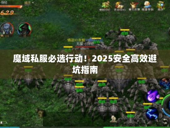 魔域私服必选行动！2025安全高效避坑指南