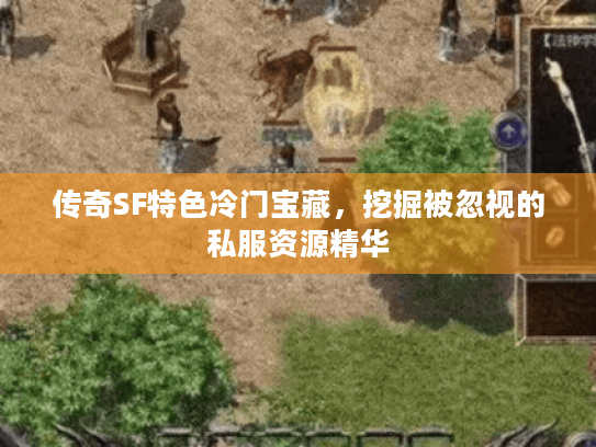 传奇SF特色冷门宝藏,挖掘被忽视的私服资源精华 传奇SF特色冷门宝藏,挖掘被忽视的私服资源精华