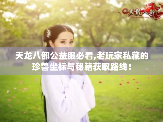 天龙八部公益服必看,老玩家私藏的珍兽坐标与秘籍获取路线！