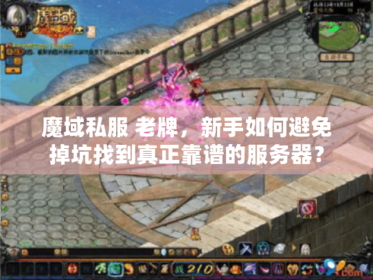 魔域私服 老牌，新手如何避免掉坑找到真正靠谱的服务器？