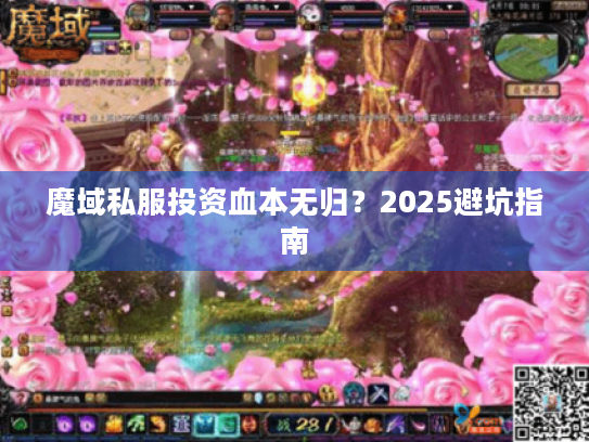 魔域私服投资血本无归？2025避坑指南