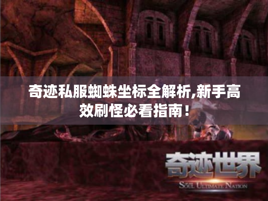 奇迹私服蜘蛛坐标全解析,新手高效刷怪必看指南! 奇迹私服蜘蛛坐标全解析,新手高效刷怪必看指南!