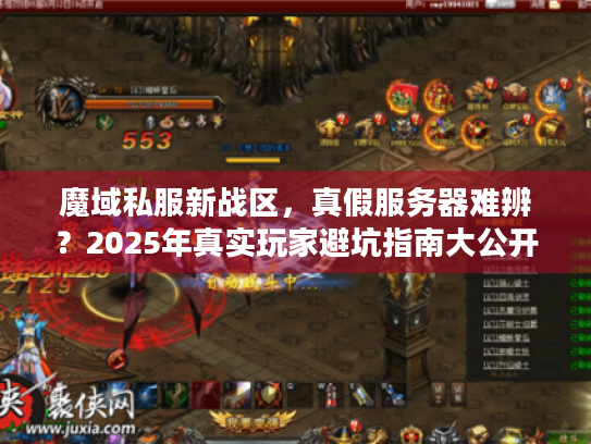 魔域私服新战区，真假服务器难辨？2025年真实玩家避坑指南大公开