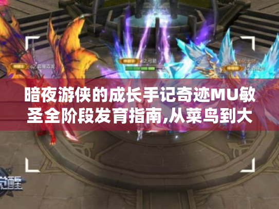 暗夜游侠的成长手记奇迹MU敏圣全阶段发育指南,从菜鸟到大师的蜕变之路