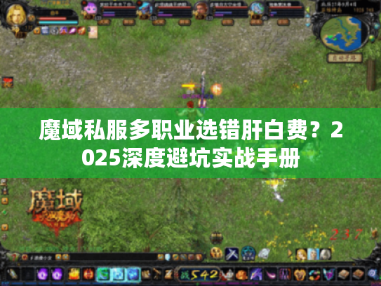 魔域私服多职业选错肝白费？2025深度避坑实战手册