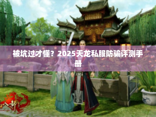 被坑过才懂？2025天龙私服防骗评测手册
