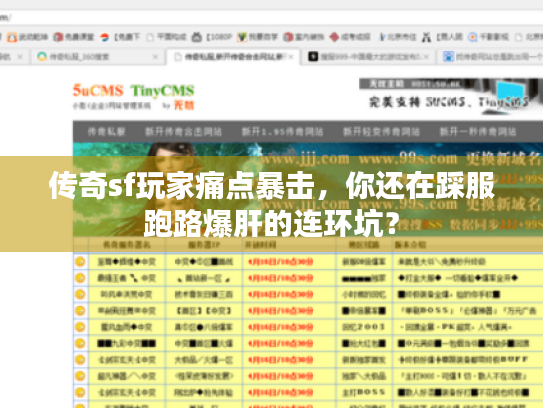 传奇sf玩家痛点暴击，你还在踩服跑路爆肝的连环坑？