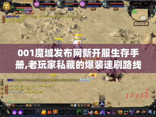 001魔域发布网新开服生存手册,老玩家私藏的爆装速刷路线