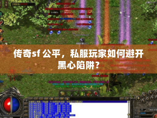 传奇sf 公平，私服玩家如何避开黑心陷阱？