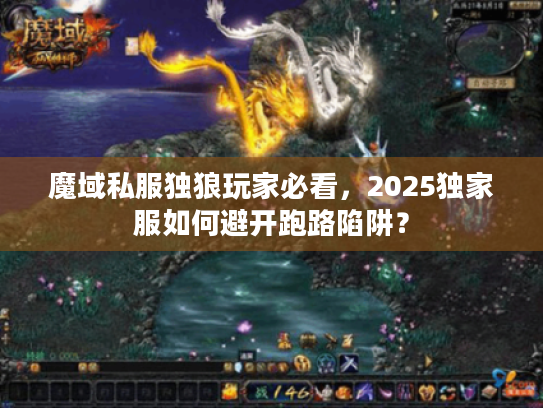 魔域私服独狼玩家必看，2025独家服如何避开跑路陷阱？
