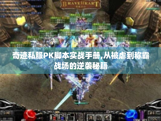 奇迹私服PK脚本实战手册,从被虐到称霸战场的逆袭秘籍