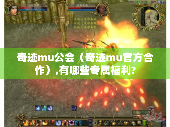 奇迹mu公会（奇迹mu官方合作）,有哪些专属福利?