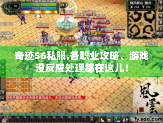 奇迹S6私服,各职业攻略、游戏没反应处理都在这儿！