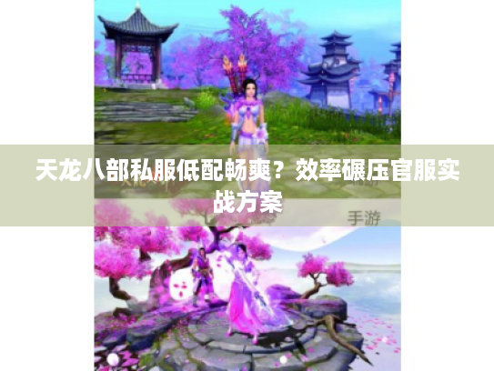 天龙八部私服低配畅爽？效率碾压官服实战方案