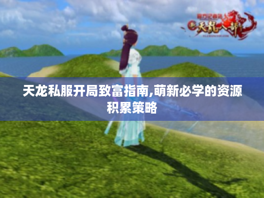 天龙私服开局致富指南,萌新必学的资源积累策略