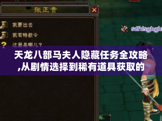 天龙八部马夫人隐藏任务全攻略,从剧情选择到稀有道具获取的终极指南 天龙八部马夫人隐藏任务全攻略,从剧情选择到稀有道具获取的终极指南