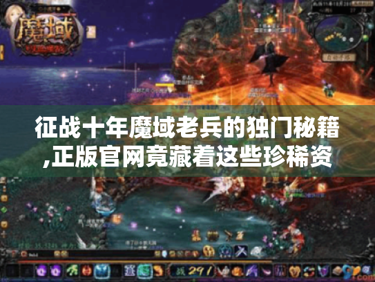 征战十年魔域老兵的独门秘籍,正版官网竟藏着这些珍稀资源